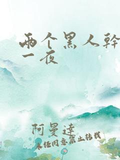 两个黑人干了我一夜