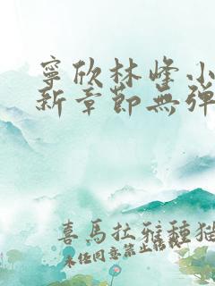 宁欣林峰小说最新章节无弹窗阅读