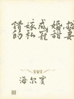 错嫁成婚,总裁的私宠甜妻