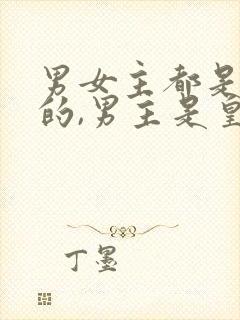 男女主都是穿越的,男主是皇上