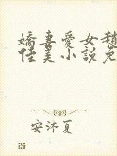 娇妻爱女赵经理佳美小说免费阅读