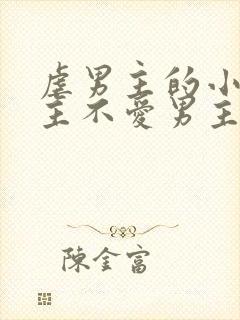 虐男主的小说女主不爱男主