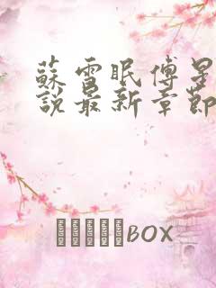 苏雪眠傅星澜小说最新章节免费阅读