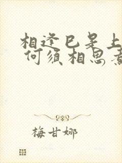 相逢巳是上上签 何须相思煮余年