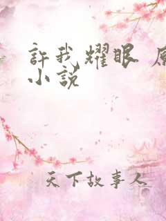 许我耀眼 原著小说