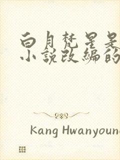 白月梵星是哪个小说改编的