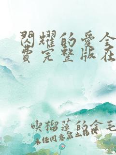 闪耀的爱全集免费完整版在线观看