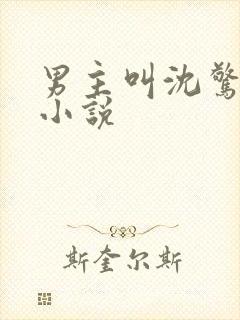 男主叫沈惊寒的小说