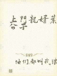 上门龙婿叶辰叶公子