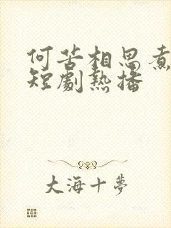 何苦相思煮余年短剧热播