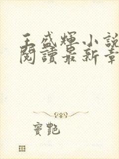 王盛辉小说免费阅读最新章节更新