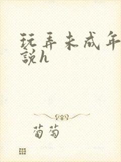 玩弄未成年女小说h