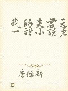 我的夫君天下第一甜小说免费阅读