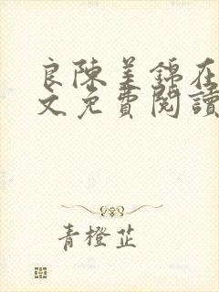 良陈美锦在线全文免费阅读