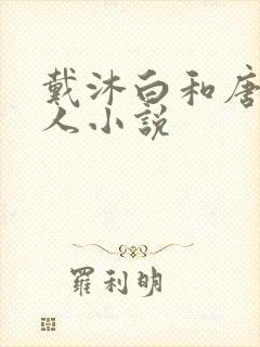 戴沐白和唐三同人小说