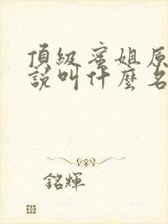 顶级蜜姐原著小说叫什么名字啊