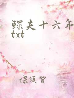 鳏夫十六年番外txt