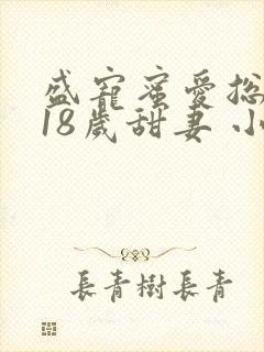 盛宠蜜爱总裁的18岁甜妻 小说