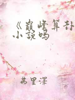 《巅峰算卦》有小说吗