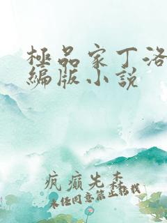 极品家丁洛凝改编版小说