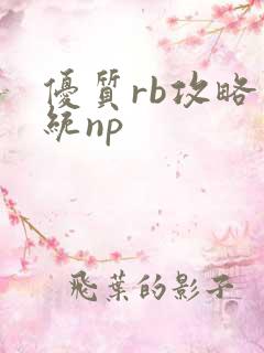 优质rb攻略系统np