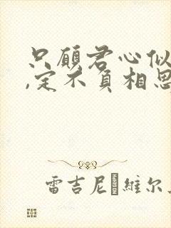 只愿君心似我心,定不负相思意赏析