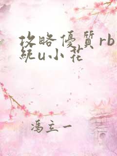 攻略优质rb系统u小花
