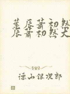 叶辰萧初然 叶辰萧初然大结局