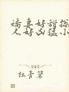 娇妻好甜总裁大人好凶猛小说