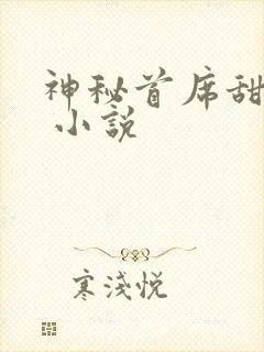 神秘首席甜宠妻 小说