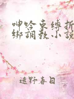 呻吟束缚折磨捆绑调教小说