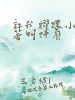 许我耀眼小说原著叫什么