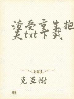 渣受重生抱紧前夫txt下载