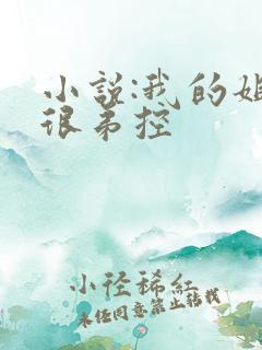 小说:我的姐姐很弟控