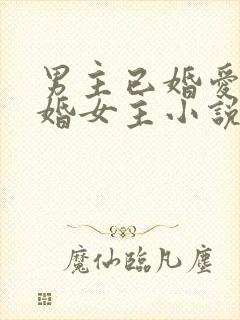 男主已婚爱上未婚女主小说