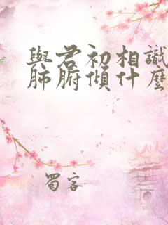 与君初相识便欲肺腑倾什么意思