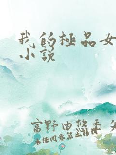 我的极品女老板小说