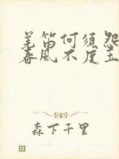 羌笛何须怨杨柳春风不度玉门关的意思是什么