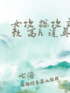 女攻 总攻 调教 高h 道具