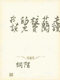 我的校花老婆小说免费阅读全文