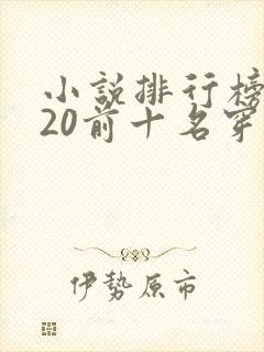 小说排行榜2020前十名穿越