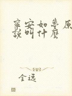 宁安如梦原著小说叫什么