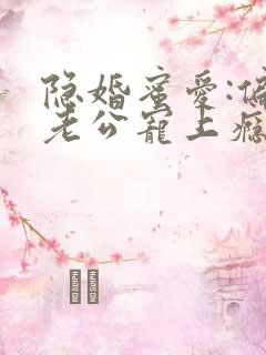 隐婚蜜爱:偏执老公宠上瘾下载txt