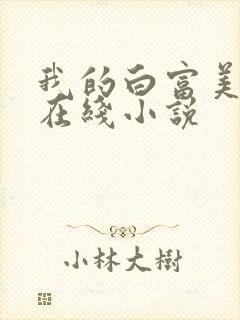 我的白富美老婆在线小说