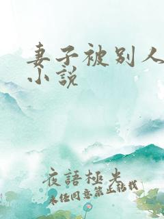 妻子被别人调教小说