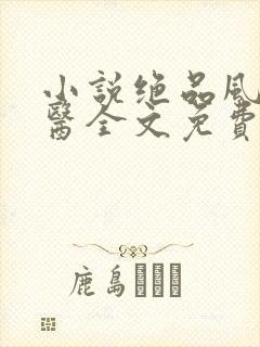 小说绝品风流狂医全文免费阅读