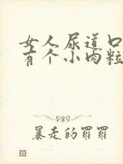 女人尿道口里面有个小肉粒