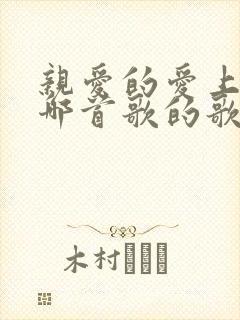 亲爱的爱上你是哪首歌的歌词