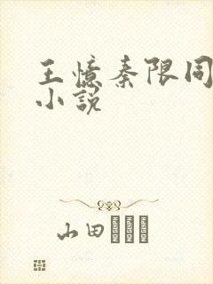 王忆秦限同人文小说