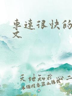 车速很快的后宫文